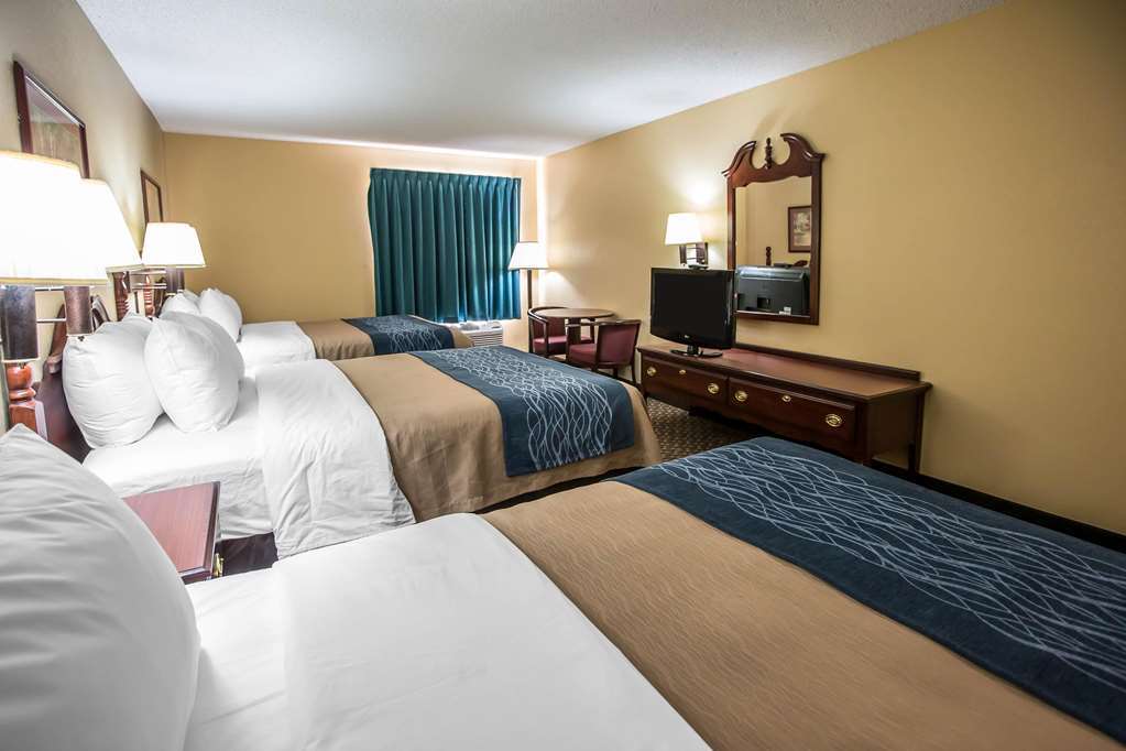 Quality Inn & Suites Mendota Near I-39 Kamer foto