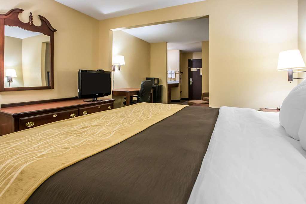 Quality Inn & Suites Mendota Near I-39 Kamer foto
