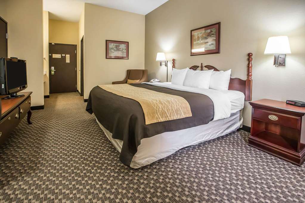 Quality Inn & Suites Mendota Near I-39 Kamer foto